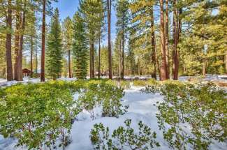 11201 Comstock Drive – Pine Forest, Truckee