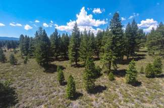 5 Acre Lot – The Woodlands at Tahoe